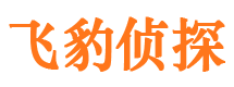 集安市调查公司